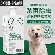 Labrador dog special dog shower gel sterilization deodorization and itching pet bath supplies Puppy shampoo bath