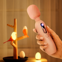 Swokang private parts female massager female av heating vibrator adult masturbation clitoral orgasm tool