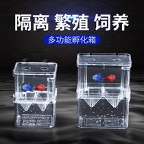 Fish tank isolation box Guppies incubator small and medium fish large small size ovipositor independent breeding box isolation box