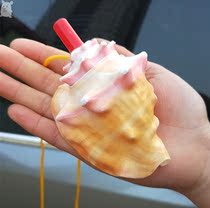Conch Horn can blow natural big whistle blowing shell crafts creative toys children gift ornaments