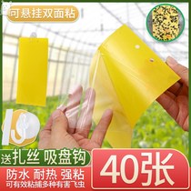 Fly paper hanging sticky rope sticky fly board Household mosquito hotel double-sided orchard Strong mosquito commercial farm