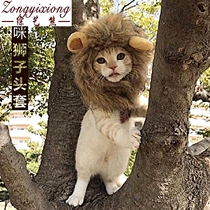 Cat lion head cover cat hat cute funny pet photo props small dog dress dress dress decoration decoration