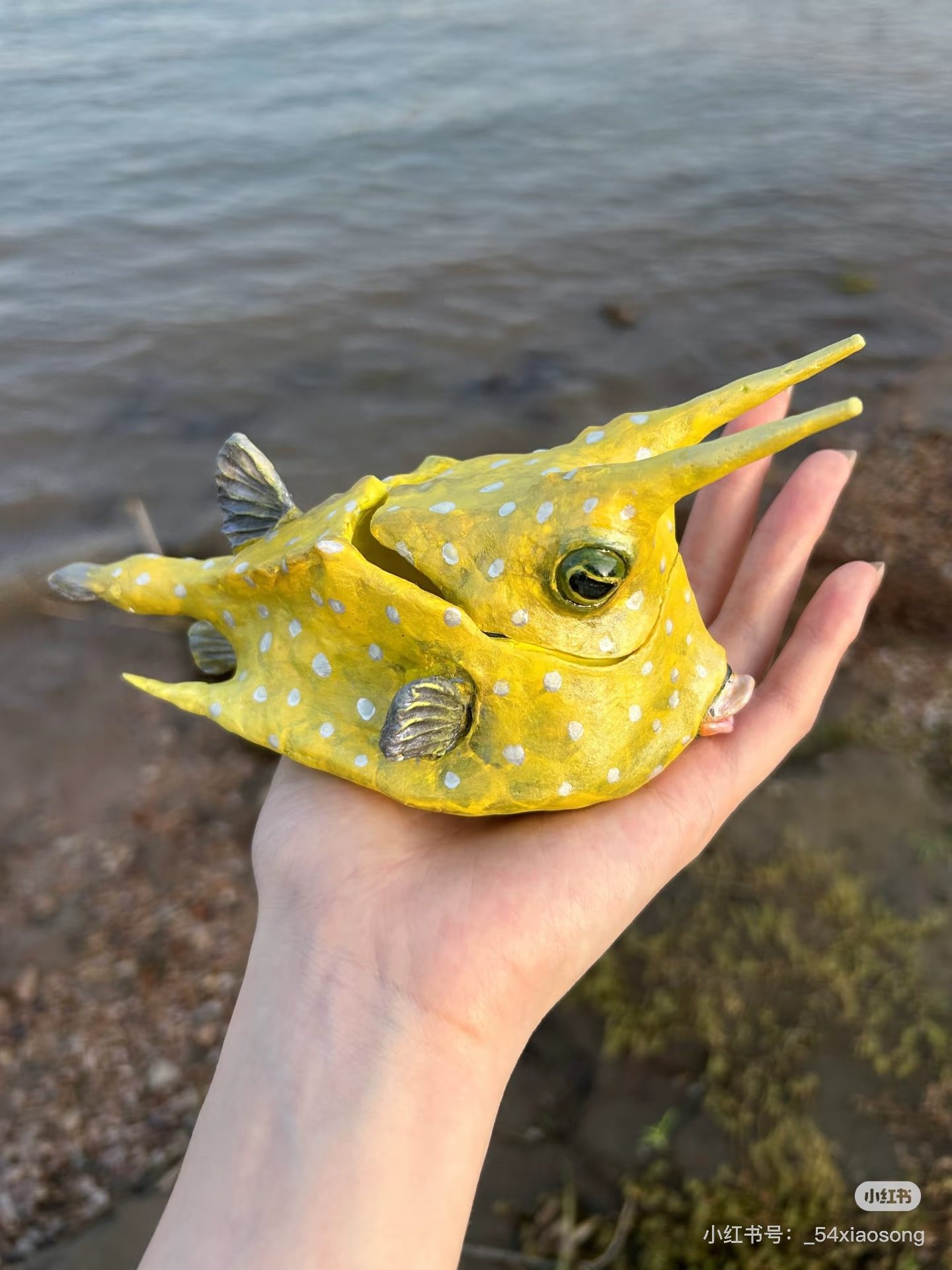Longhorn Cowfish Lacturia Cornuta Underwater Closeup库存照片1846205785 |  Shutterstock, image size:1440x1920