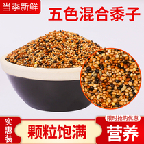 Tiger skin peony Xuanfeng small and medium-sized parrot feed bird food bird food five-color millet parrot mixed grain millet 3kg