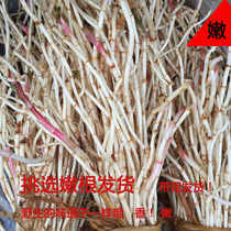  Hubei Enshi wild folding ear root Houttuynia deep mountain local meals for one kilogram