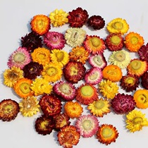  Dried flowers real flowers daisies sunflowers small sunflowers handmade diy material pack holiday dress-up event props