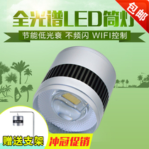 Fish tank LED light goldfish tank explosion Moss algae original cylinder hair color modulation light grass cylinder lighting full spectrum water grass Downlight