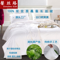 Xin silk road 100% double palace cocoon mulberry silk quilt silk quilt spring summer autumn winter mother quilt long silk cotton who silkworm baby