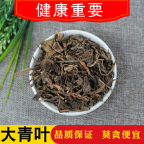 Daqing Leaf 500g Daqing leaf Chinese Herbal Medicine Daqing leaf Banlang root leaves Fresh Daqing leaf tea