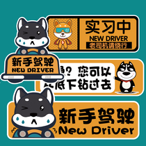 Female driver novice on the road car sticker strong magnetic internship female driver sticker internship period car sticker unified internship card