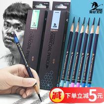 Anigoni sketch sketch soft carbon beginner soft brush carbon pen Soft medium hard drawing pencil Art student drawing tool set supplies Professional adult carbon painting set Carbon pen