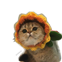 Tea mud pet Custom Shop sunflower hat Teddy Garfield beauty short gradual layer pet cute hat