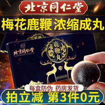 Beijing Tongrentang deer whip pill official website plum blossom deer kidney with deer whip cream ginseng deer whip tablet