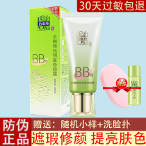 Pagel Antelope Herbal Water Purity Pure Star Repair Cream 40g BB Cream Isolation Nude Makeup Concealer Oil Control Monkey