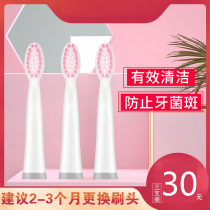 Electric toothbrush head fit BiSUAN original replacement Lm3-1 shrimp picks brush head LD1-1 three sets