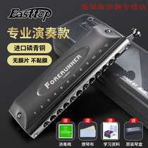 German imported sound Reed Dongfang Ding Pioneer 12-hole harmonica beginner student professional introductory practice