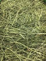 The Pamby 18 Aunt 21 Aunt 21 Youths Moses Grass Tooth Rabbit Dragon Cat Dutch Pig Earth Dial Rat Hay 500 gr