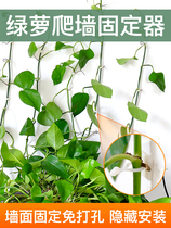 Green Rose green plant climbing wall fixed artifact no trace household buckle climbing indoor vine plant wall adhesive hook fixing clip