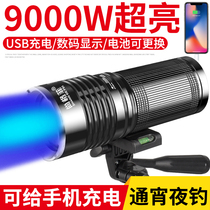 Night fishing light Fishing light Purple lampstand fishing super bright blue light fish light Xenon charging fishing light Strong light luminous laser gun