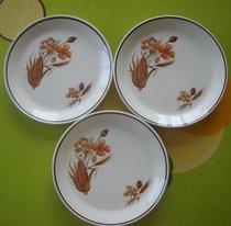 ni exam European groceries British old China johnsonbrothers pack 3 pieces old plate