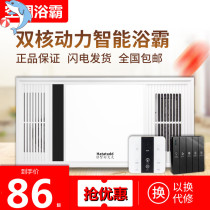 Five-in-one bathroom multifunctional bathroom common ceiling integrated 30x60 exhaust fan lighting