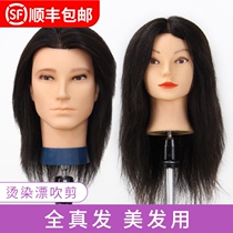 99% real hair head model hair practice head doll head hair cutting model head can be curled hot blow bleaching dummy head