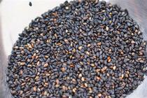Bake with cooked black sesame 500 gr Purple Vegetable Bread Rice Sushi Material Baking Sesame Eel Sushi Pat 3