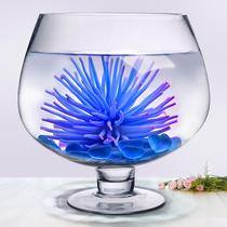 Small desktop fish tank glass transparent living room creative wine glass round round wine glass mini wine glass type