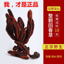 Rejuvenating grass Wild evergreen grass Yunnan soaked wine formula soaked in water 500g Dingtianzhu male tonic Official fresh