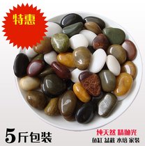 Colorful stone pure natural pebbles colored white stone indoor potted flower pot for decorative fish tank