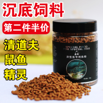 Alien fish big sail beard feed sinking bottom vegetarian scavenger benthic fish rat fish feed sinking blue shark lucky cat