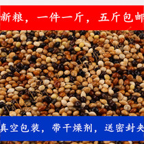 Black white red yellow blue 5-color mixed tiger skin Parrot Bird bird food five catties of new grain