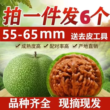 蛤蟆头文玩核桃-蛤蟆头文玩核桃促销价格、蛤蟆头文玩核桃品牌- 淘宝