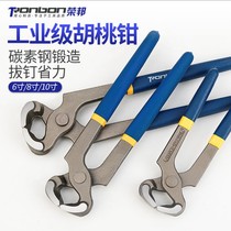 Nutcracker 6 inch nail starter woodworking nail puller shoe repair tool tip pliers 8 inch flat vise snail pliers