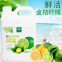 Fresh kumquat lemon juice concentrated juice 3kg beverage concentrated puree Beverage raw materials