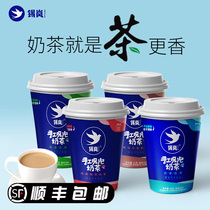 Xilan handmade freshly brewed milk tea Blue cup Original Hong Kong classic Jasmine milk Green four seasons milk green Carbon roasted Oolong