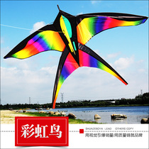 2021 New Weifang rainbow bird color change swallow Breeze easy fly swallow Adult child novice beginner kite