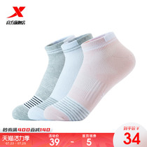 Special step sports socks womens socks summer new womens cotton socks boat socks short socks womens three pairs of breathable cotton socks womens socks