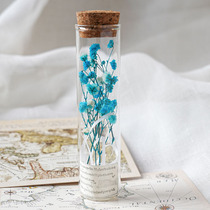 Gypsophila rose rose test tube dried flower glass plant specimen decoration birthday teacher New year companion gift