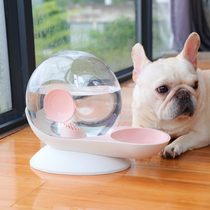 New snail automatic drinking water fountain cat feeding water bowl dog dog Dabo Tedi drinking fountain pet supplies