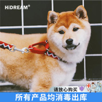 The HiDAREAM) in the first of its first Rainbow Dogs Traction Rope Small Canine Fur Comfort Safety Nylon Dog Rope Pet Supplies