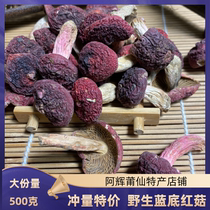 Fujian Sanming premium blue-based wild red mushroom dried goods 500g authentic red mushroom Small red mushroom confinement pregnant mother tonic