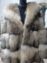 Imported Mountain Cat jacket with a little coat
