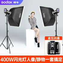 God cow photography light SK400II second generation flash 600W studio flash Studio light suit clothing portrait