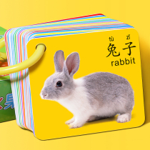 Childrens toys girl 2021 new one-year-old puzzle enlightenment early education ninety-three months baby toys Daquan