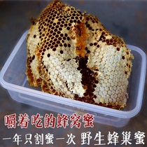 Wild pure hive honey chews and eats authentic Qinling soil honey natural farm home-grown honeycomb old honey 500g