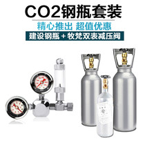 CO2 set gas cylinder Shandong construction cylinder fine machine animal husbandry electromagnetic gauge pressure gauge carbon dioxide set