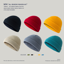 Korean version of hat Autumn and Winter Retro Dome warm short wool bag head melon leather hat knitted hat cold hat men and women tide