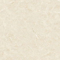 Nobel Tile Shengya Yellow RS808055 Wuxi Jincheng Road Store