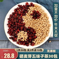Schisandra selenium malt tea pure natural Schisandra selenium malt powder selenium Bud five plum tea authentic 30 packs